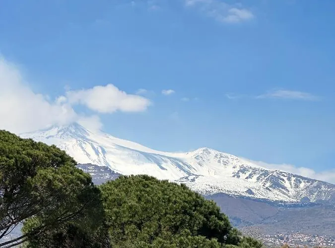 公寓 La Pigna Delle Aci
